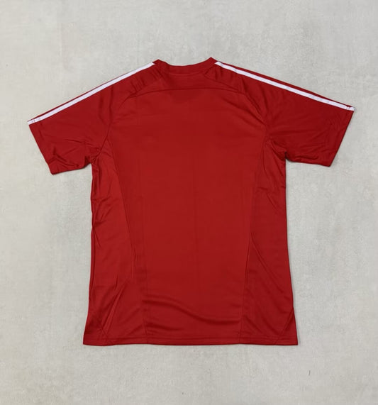 Bayern Munich T-shirt Special Edition Fans 2025/2026