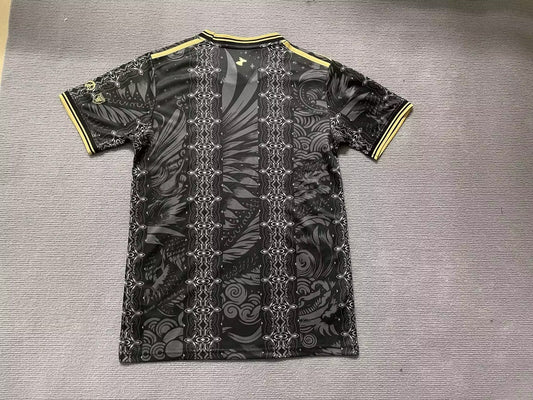 Argentina Special Edition Fans Black Football Jersey 2026/2027