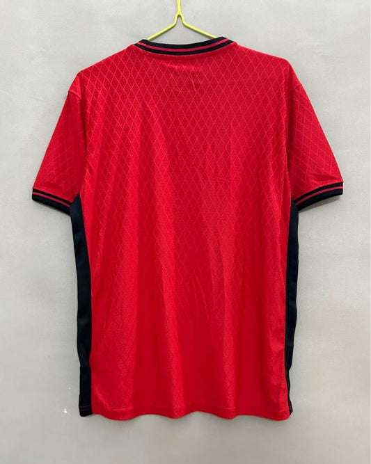 Flamengo Special Edition Fans Football Jersey 2026/2027