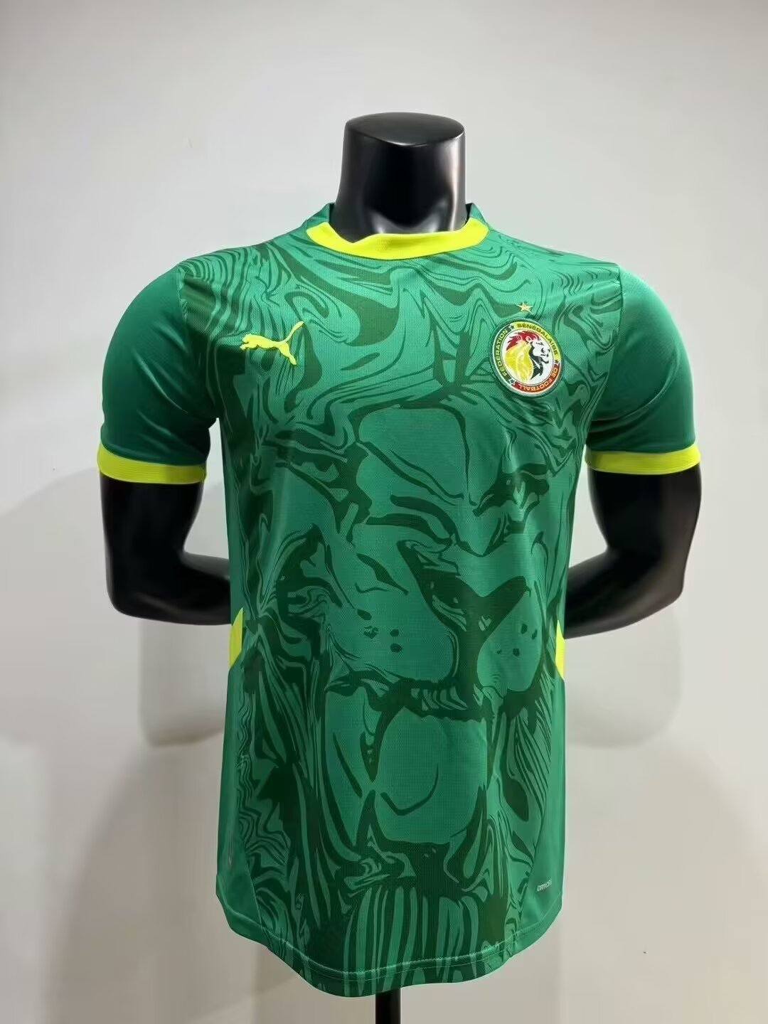Senegal 2025/2026 Away Fan Version Football Jersey