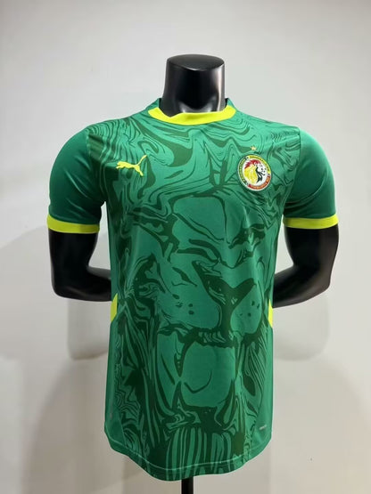 Senegal 2025/2026 Away Fan Version Football Jersey