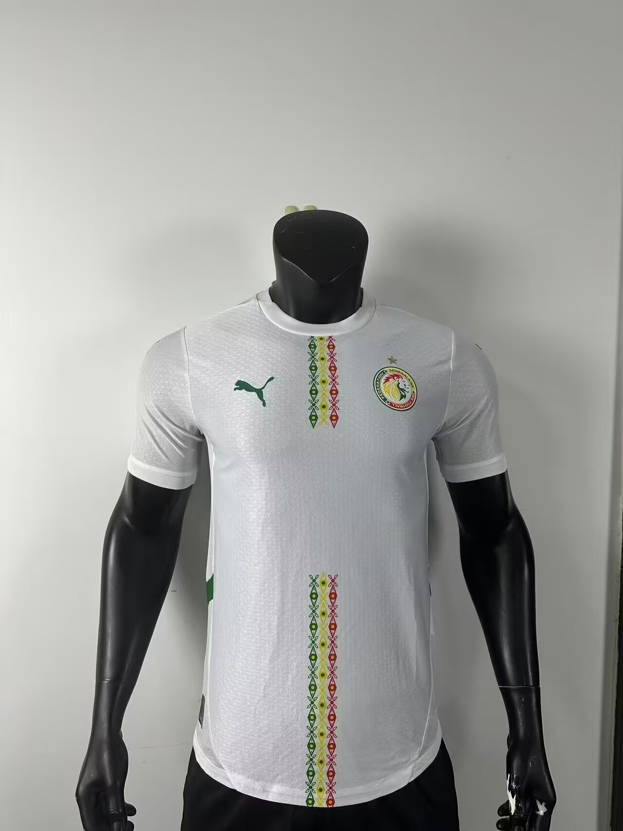 Senegal 2025/2026 Home Player Version Football Jersey