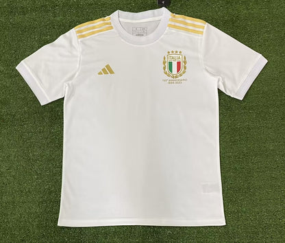 Italy 2023/2024 Fan Version Football Jersey