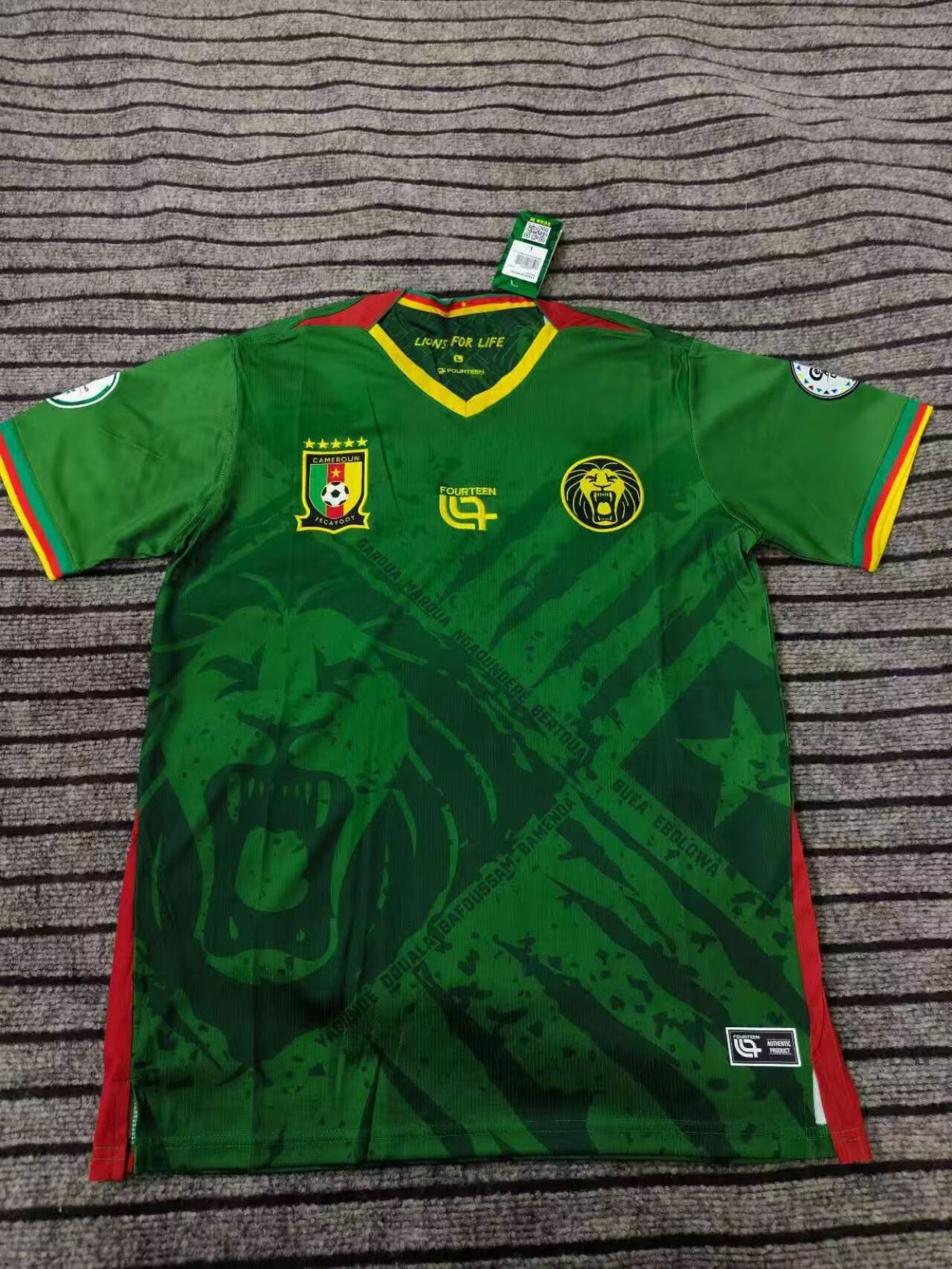 Cameroon 2025/2026 Third Fan Version Football Jersey