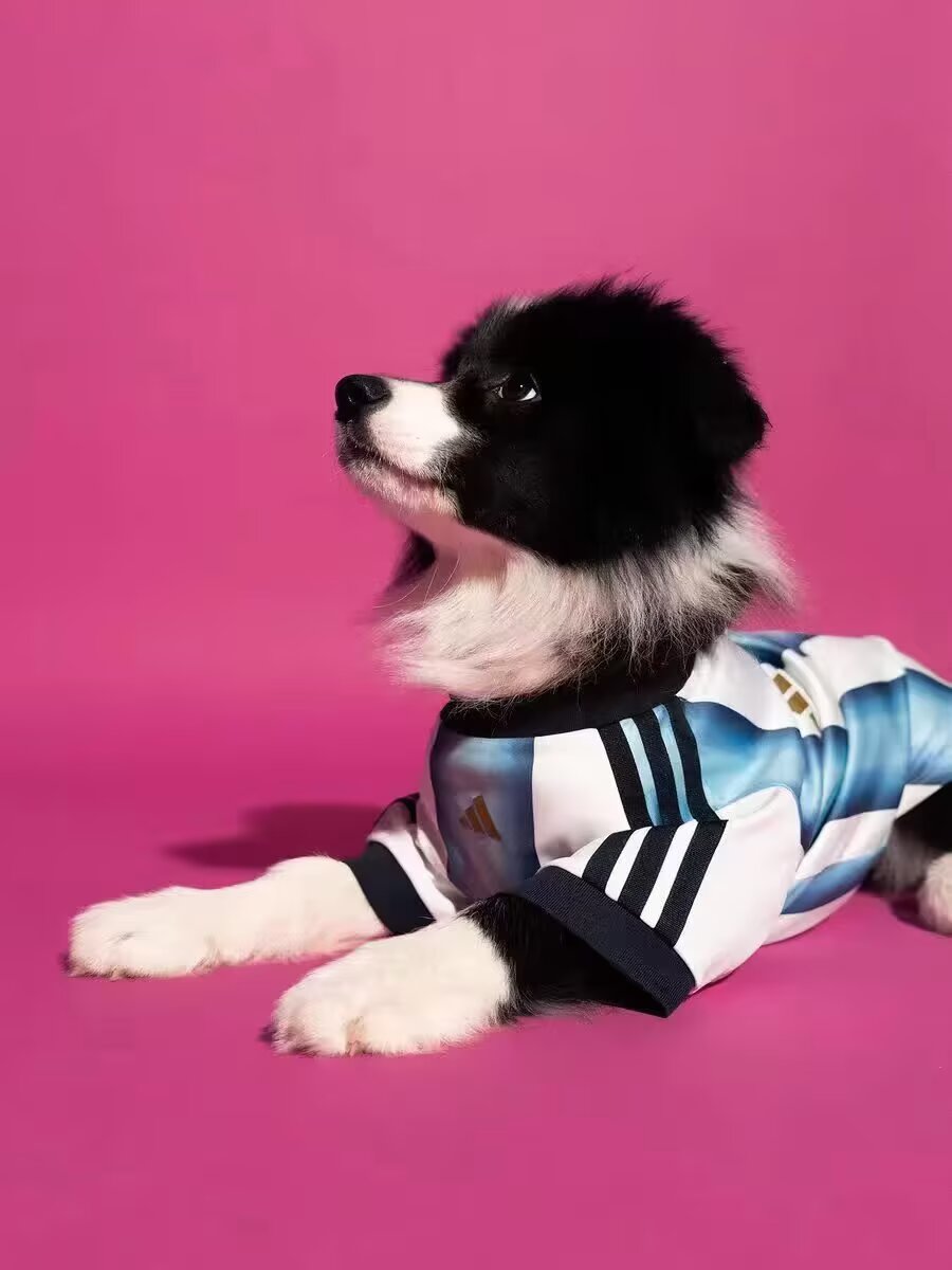 Argentina 2026/2027 Dog Home Player Version Football Jersey
