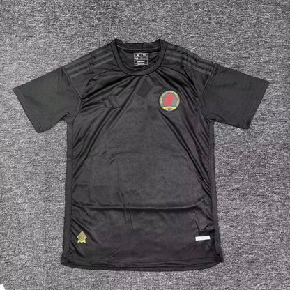 Aston Villa 2025/2026 Fan Version Football Jersey