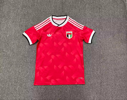 United Arab Emirates 2026/2027 Away Fan Version Football Jersey