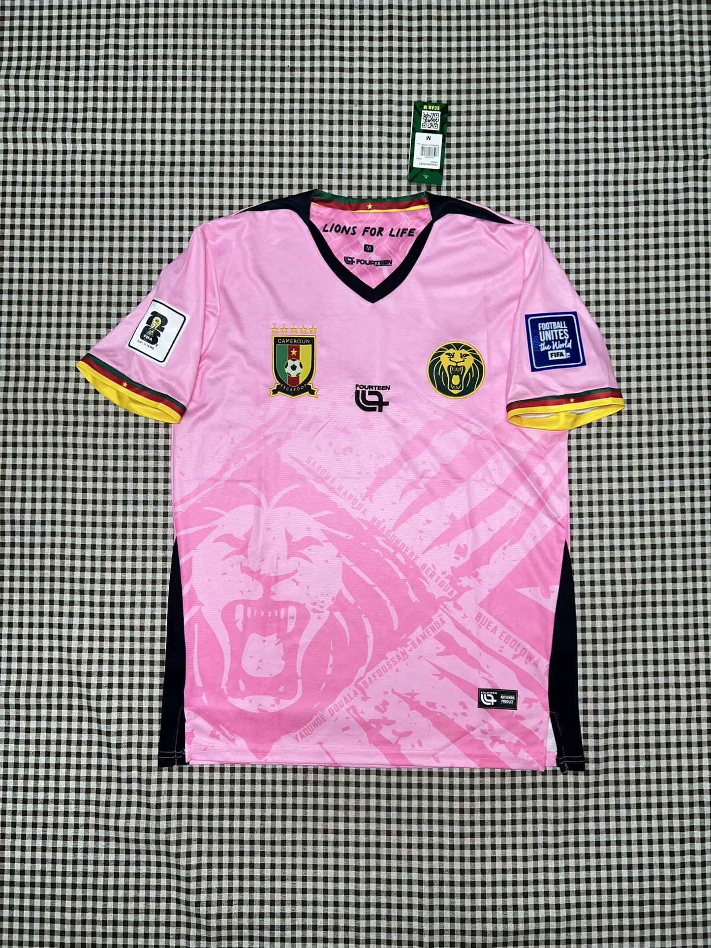 Cameroon 2025/2026 Fan Version Football Jersey