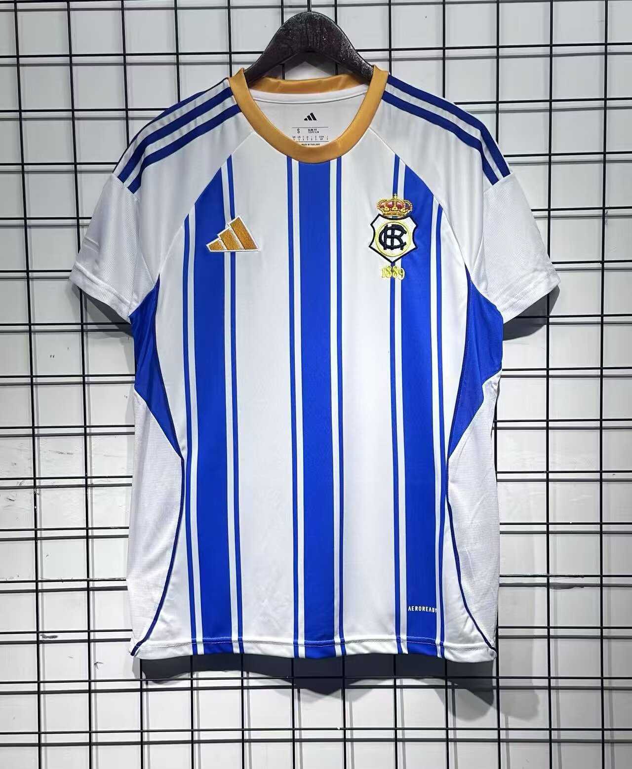 Real Sociedad 2025/2026 Home Fan Version Football Jersey