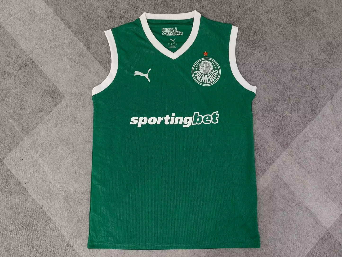 Palmeiras 2025/2026 Home Fan Version Football Jersey