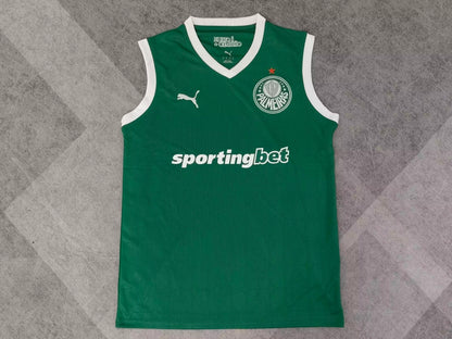 Palmeiras 2025/2026 Home Fan Version Football Jersey