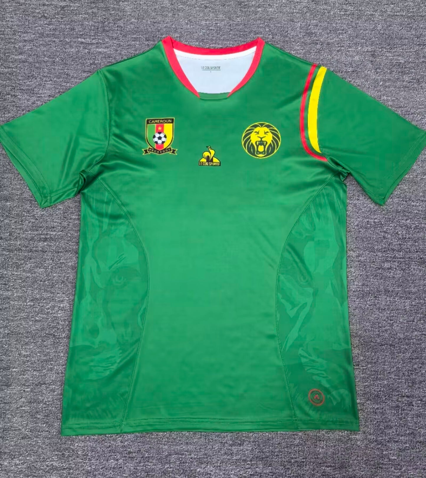 Cameroon 2024/2025 Home Fan Version Football Jersey