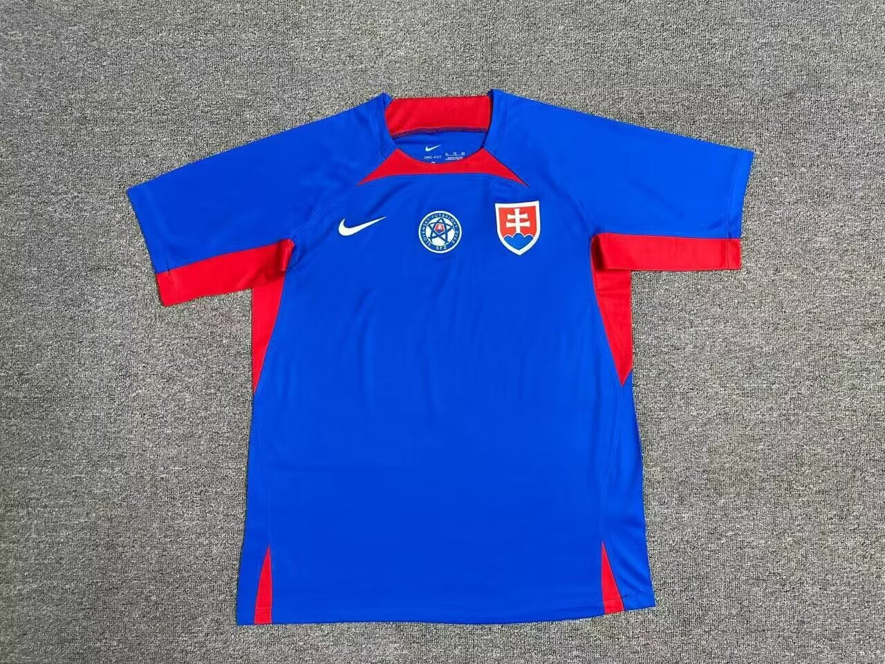 Slovakia 2024/2025 Home Fan Version Football Jersey