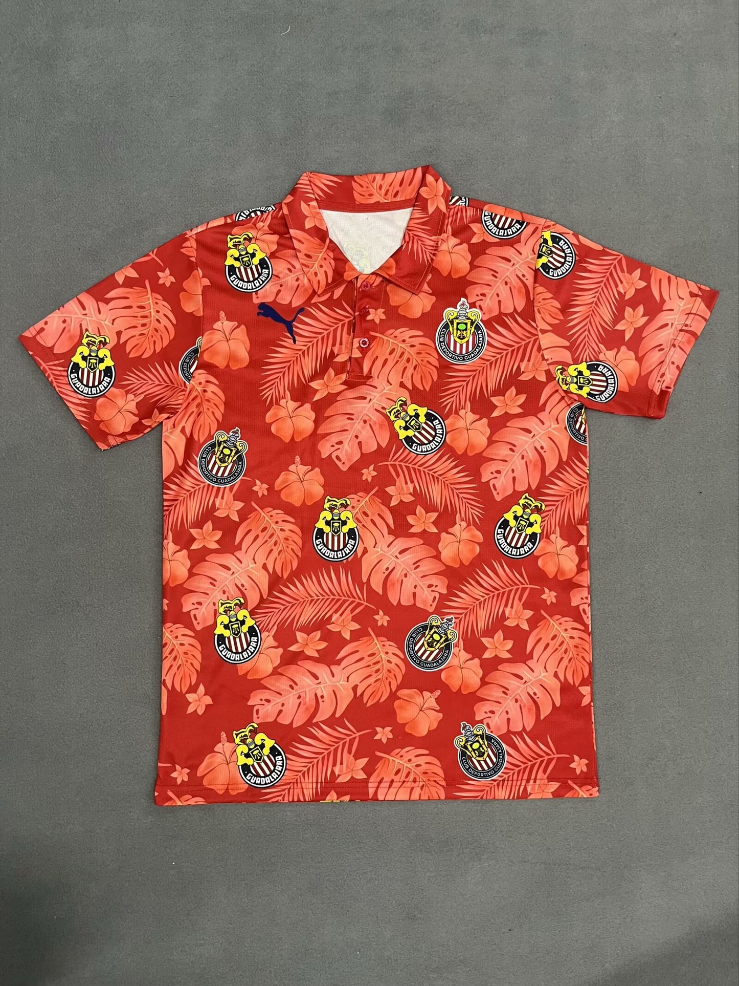chivas Special Edition 2024/2025 Fan Version Football Jersey