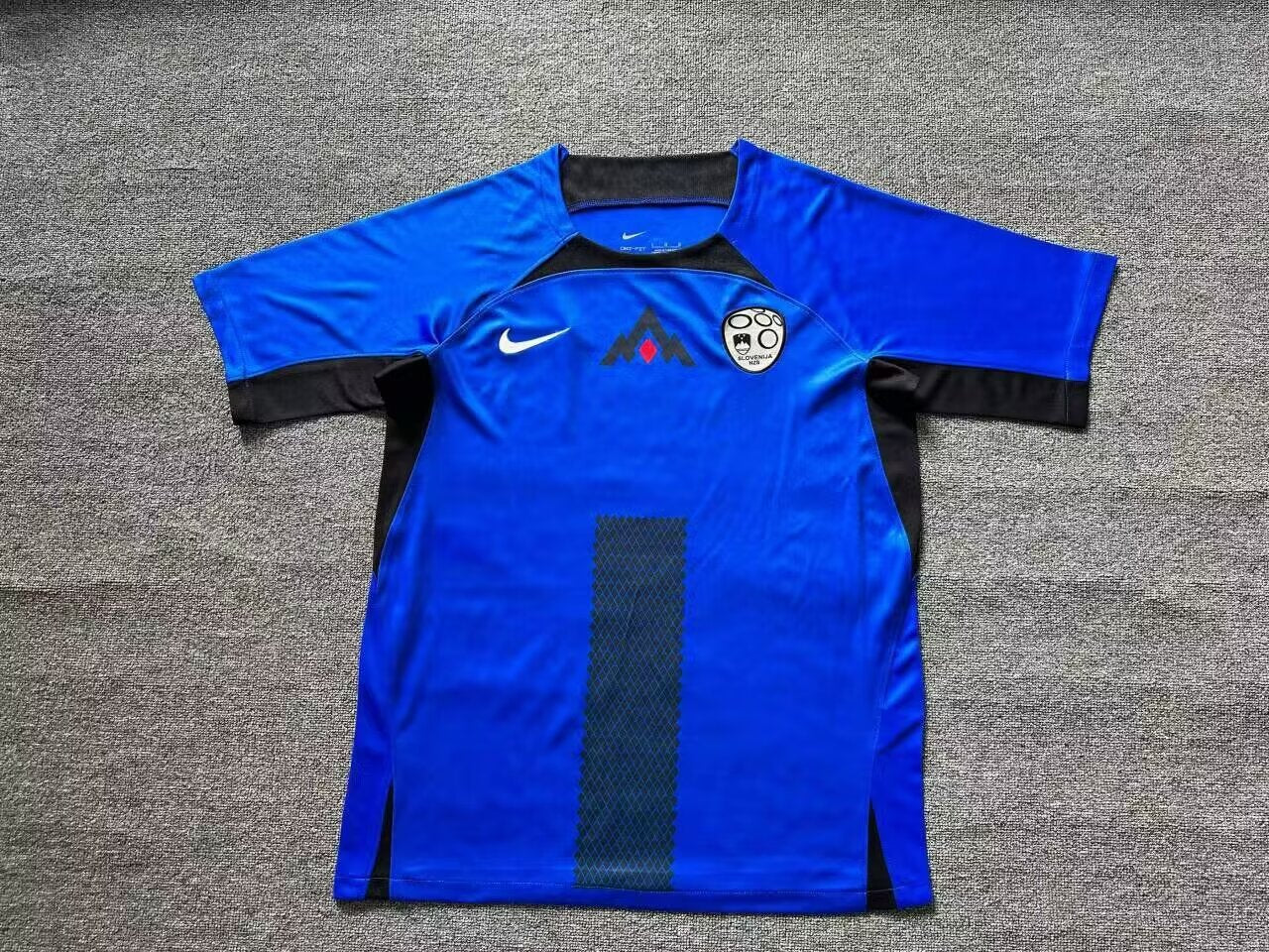 Slovenia 2024/2025 Home Fan Version Football Jersey