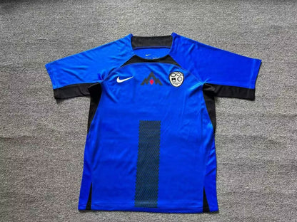 Slovenia 2024/2025 Home Fan Version Football Jersey