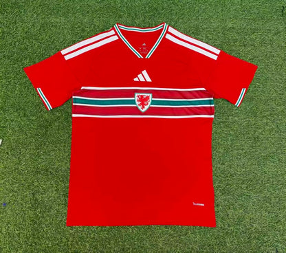 Wales 2026/2027 Home Fan Version Football Jersey