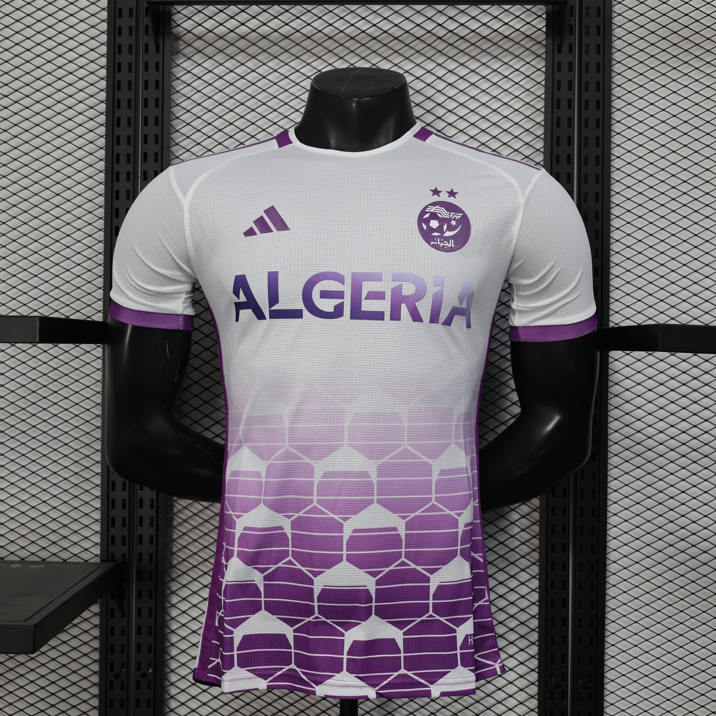 Algeria 2025 Player Version Football Jersey