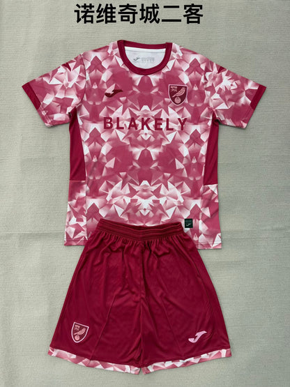 Premier- league 2025/2026 Kids Third Football Jersey