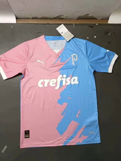 Palmeiras Special Edition 2023/2024 Fan Version Football Jersey