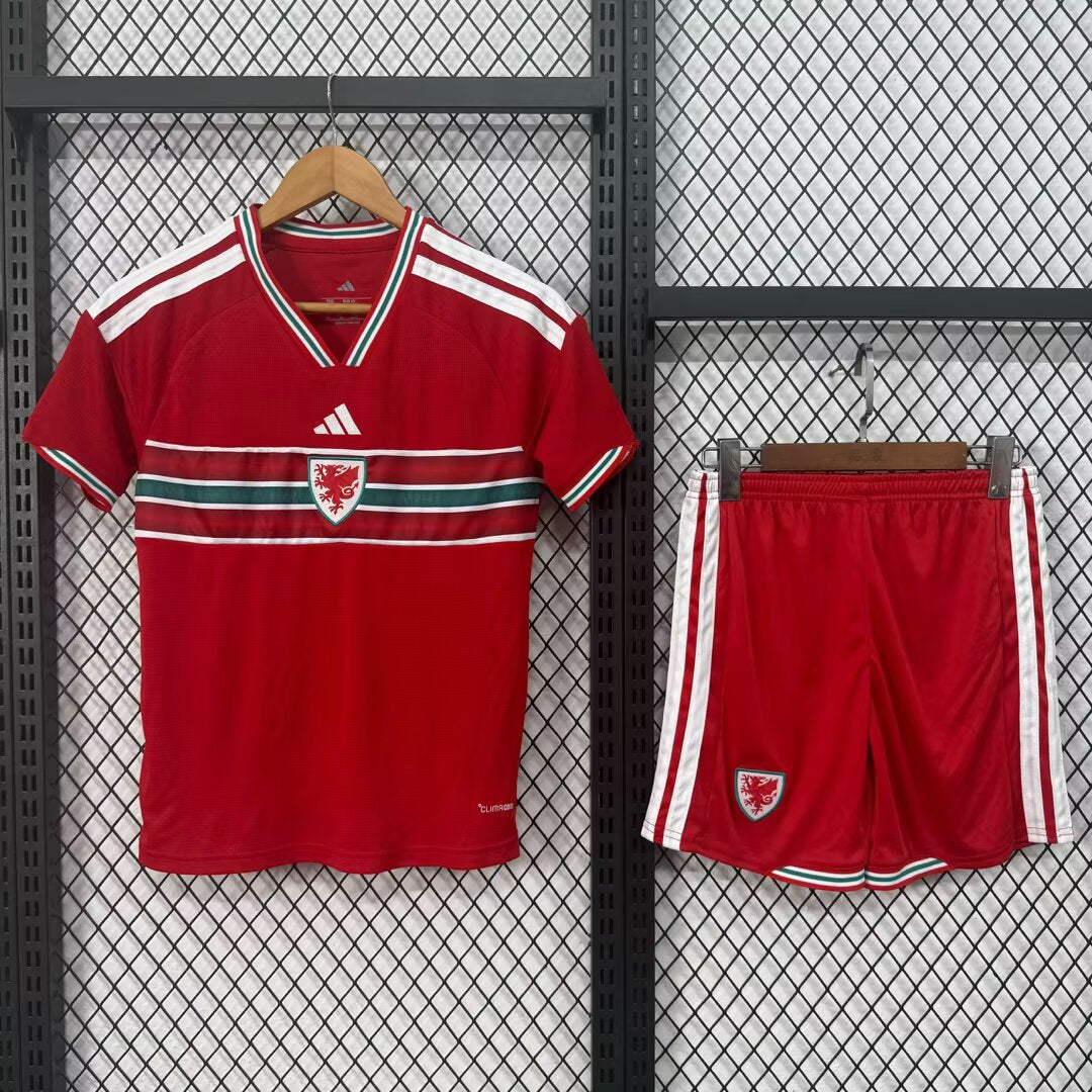 Welsh 2026/2027 Kids Home Football Jersey