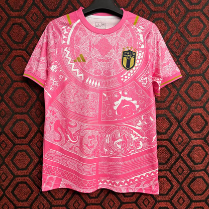 Italy 2024/2025 Fan Version Football Jersey