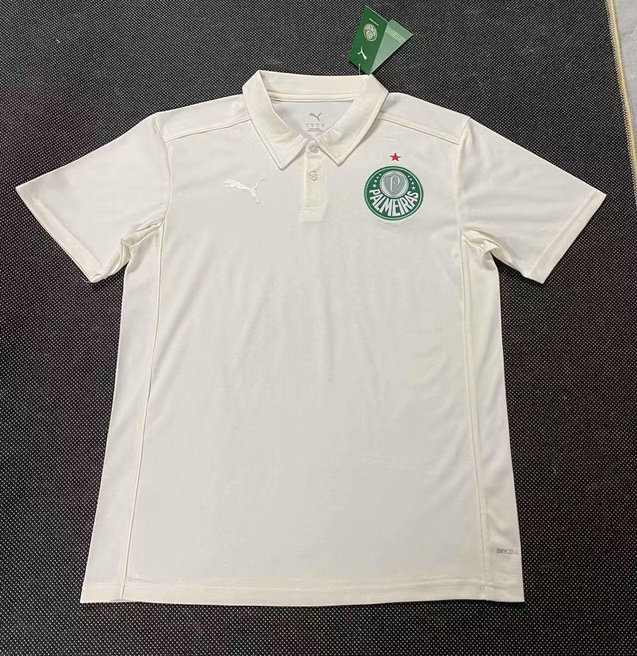 Palmeiras Special Edition 2025/2026 Fan Version Football Jersey