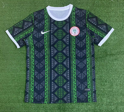 Nigeria Special Edition 2023/2024 Fan Version Football Jersey