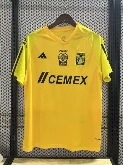tiger 2023/2024 Fan Version Tracksuit