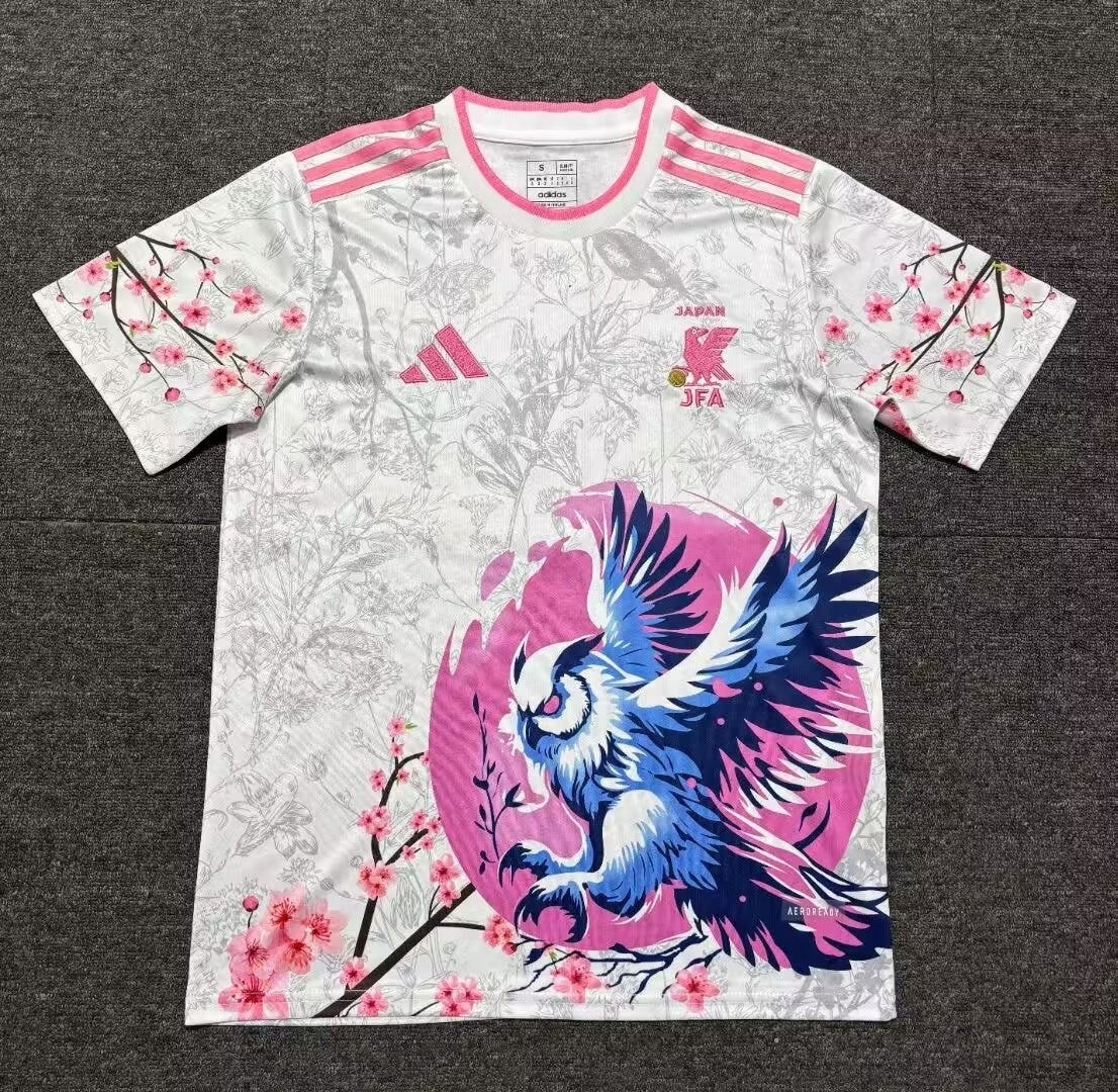 Japan Special Edition 2024/2025 Fan Version Football Jersey