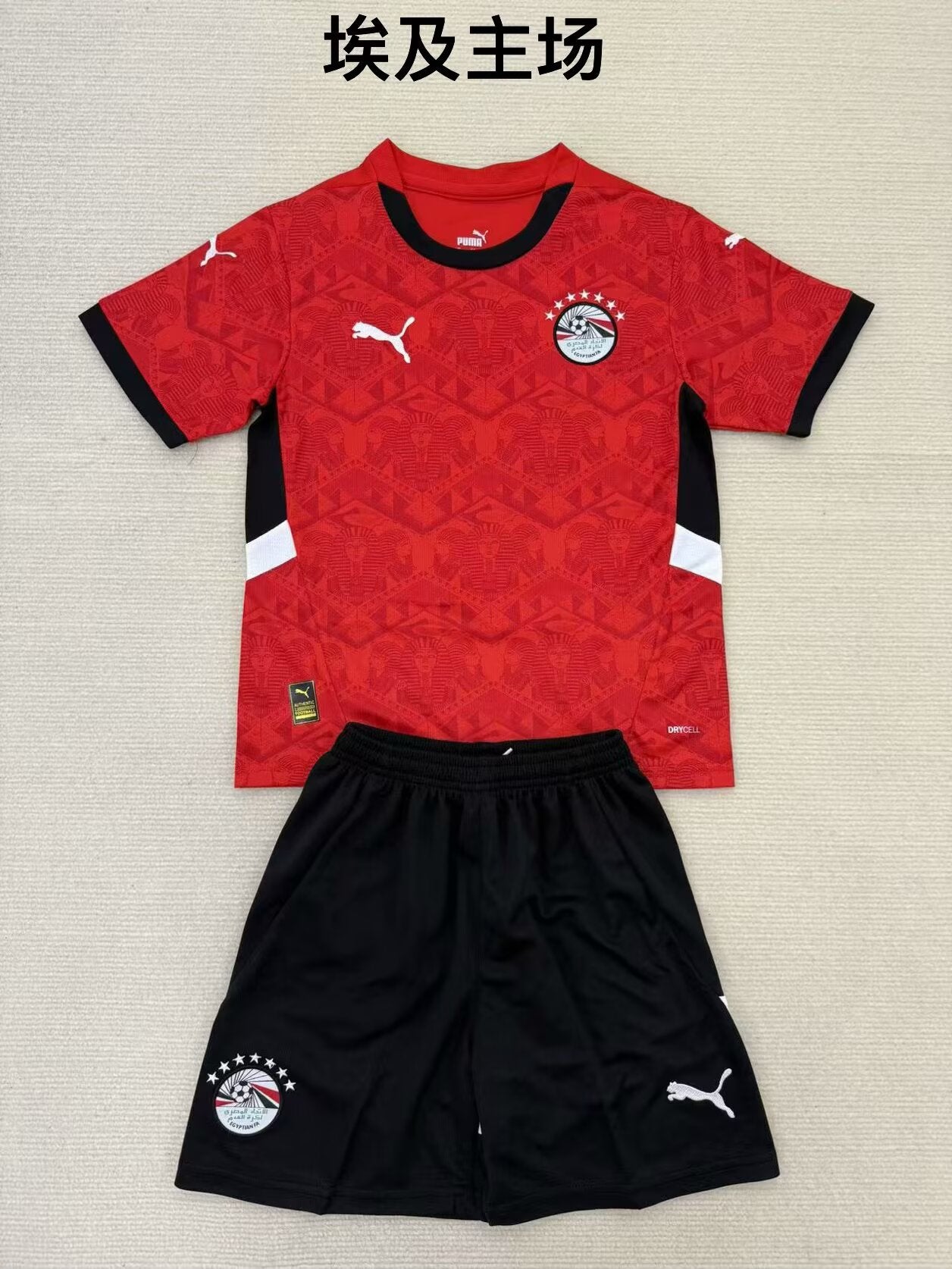 Egypt 2024/2025 Kids Home Fan Version Football Jersey