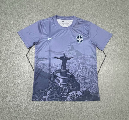 Brazil Special Edition 2025/2026 Fan Version Football Jersey