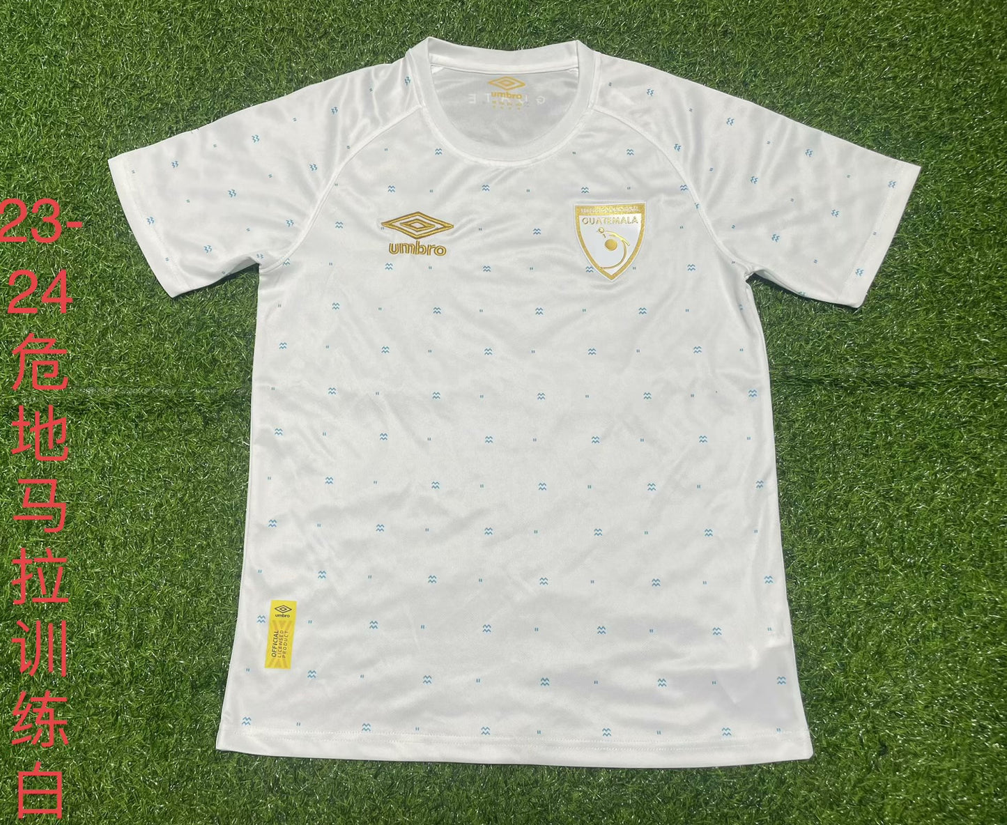 Celtic Special Edition 2023/2024 Fan Version Football Jersey