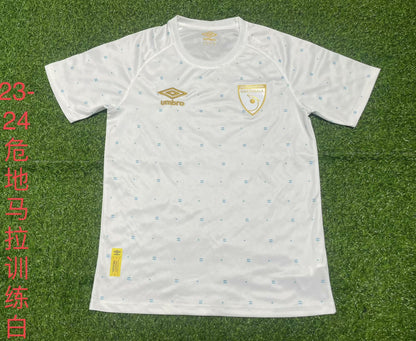 Celtic Special Edition 2023/2024 Fan Version Football Jersey