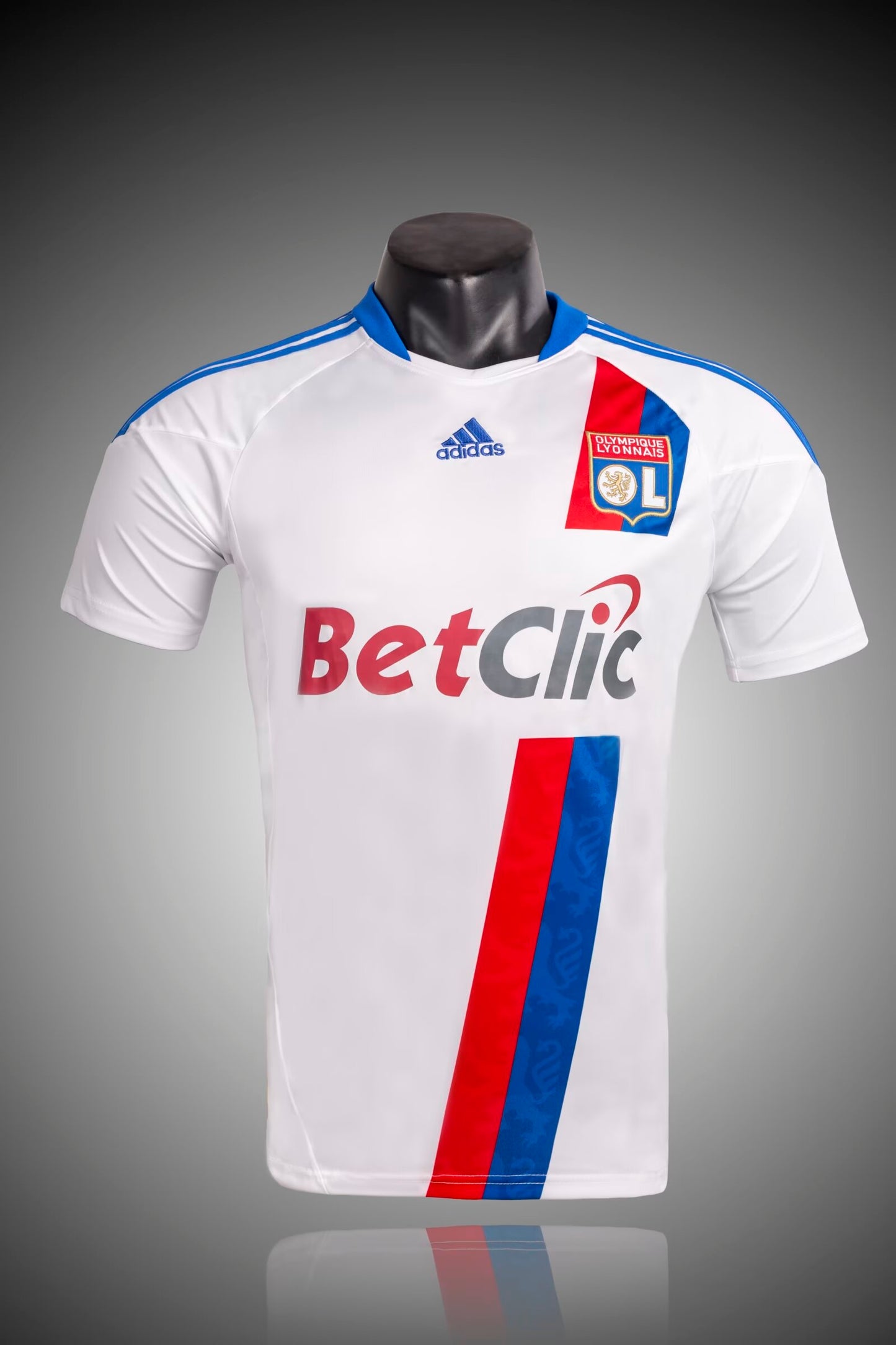Retro Lyon 2010/2011 Home Fan Version Football Jersey