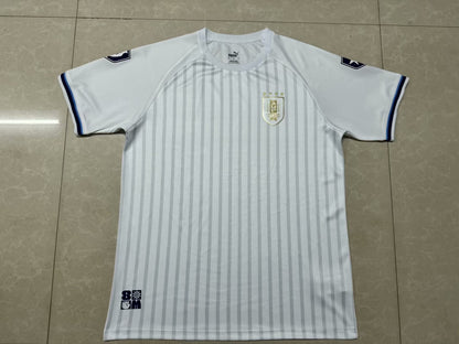 Uruguay Special Edition 2024/2025 Fan Version Football Jersey