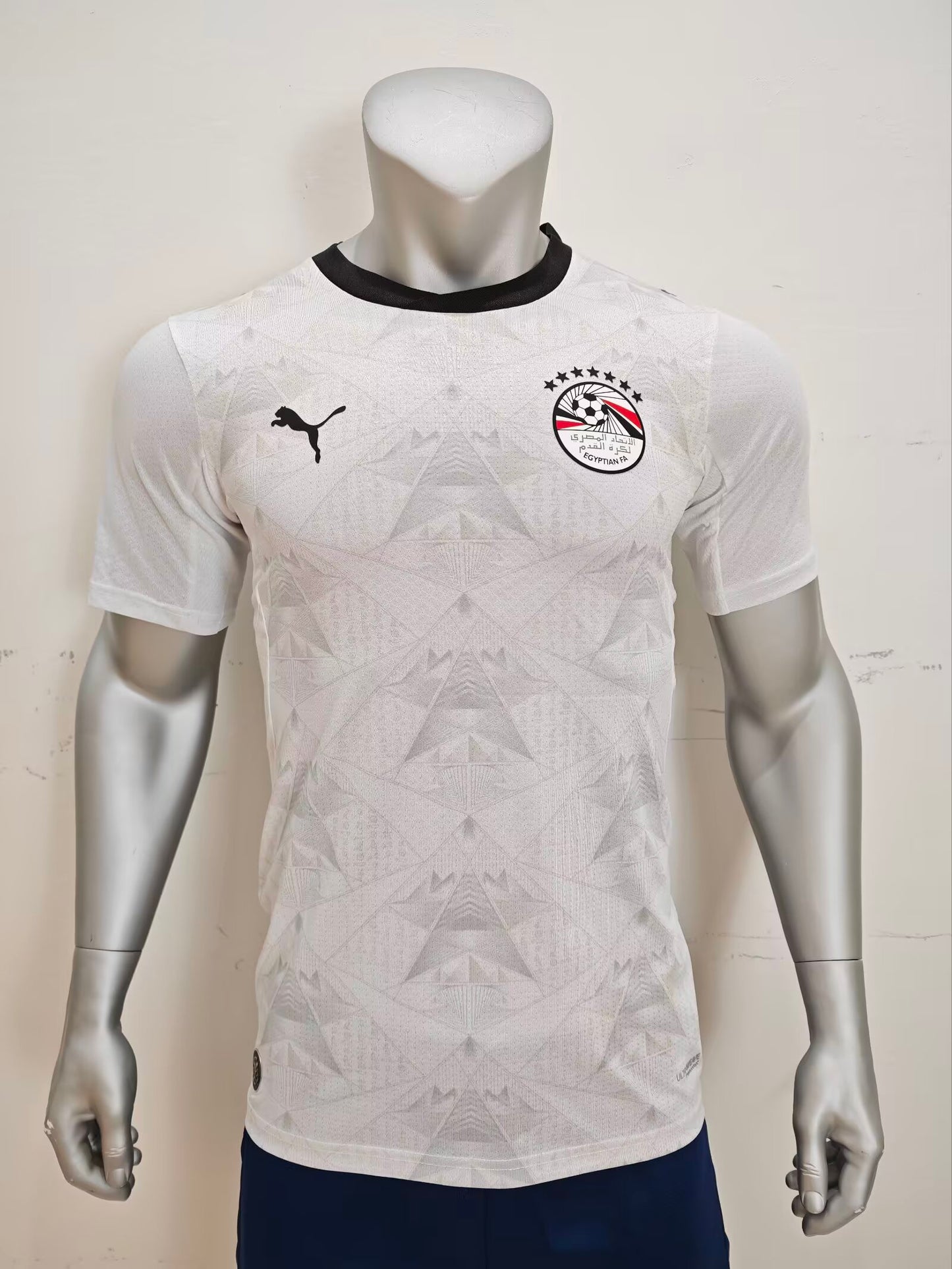Egypt 2026/2027 Away Player Version Football Jersey