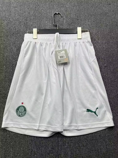 Palmeiras 2026/2027 Home Fan Version Football Jersey