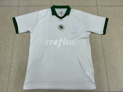 Palmeiras Special Edition 2024/2025 Fan Version Football Jersey