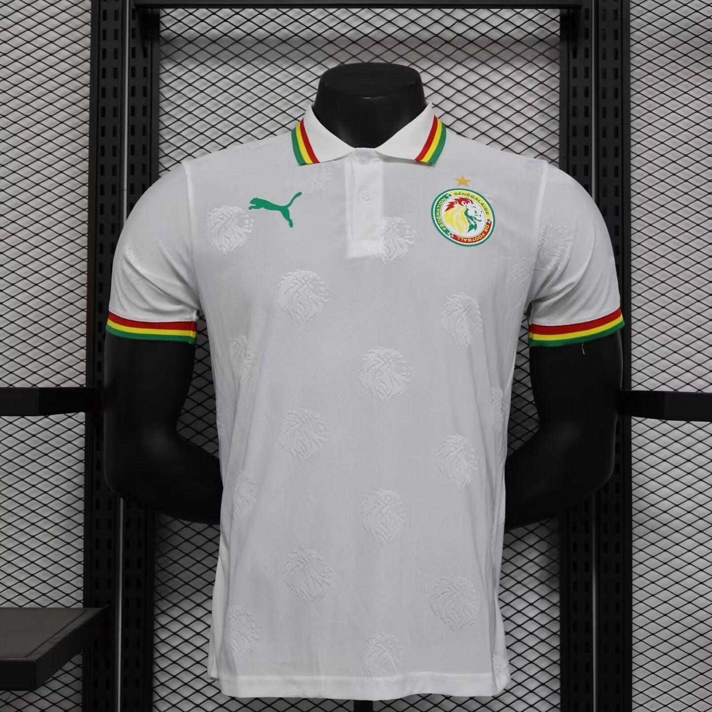 Senegal Special Edition 2024/2025 Player Version Football Jersey