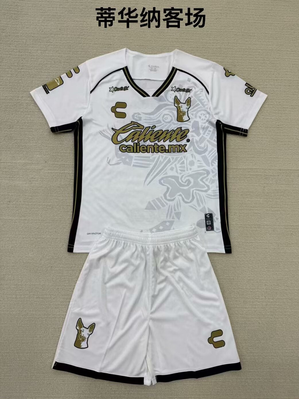 Club Puebla 2024/2025 Kids Away Fan Version Football Jersey