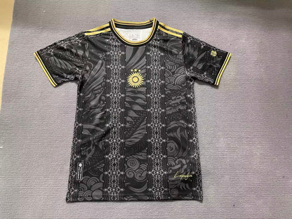 Argentina Special Edition 2026/2027 Fan Version Football Jersey
