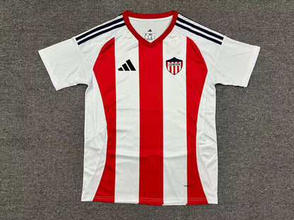 other team 2025/2026 Home Fan Version Football Jersey