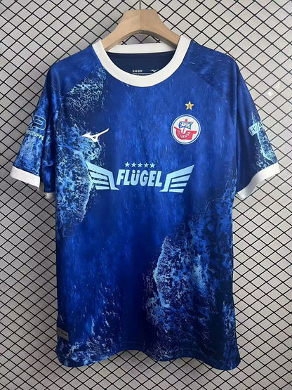 Borussia Dortmund Special Edition 2025/2026 Fan Version Football Jersey