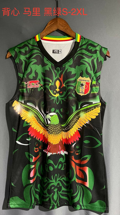 Mali Special Edition 2023/2024 Fan Version Football Jersey