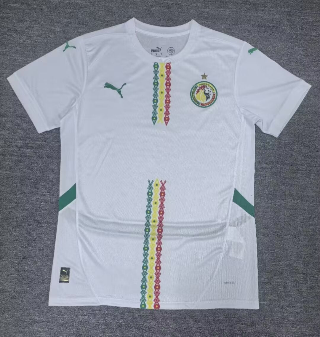 Senegal 2025/2026 Home Fan Version Football Jersey