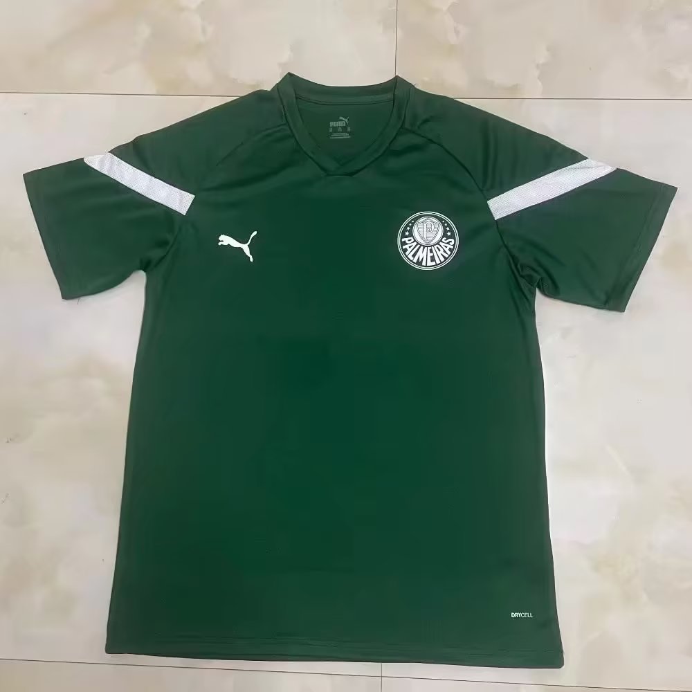 Palmeiras 2023/2024 Fan Version Tracksuit