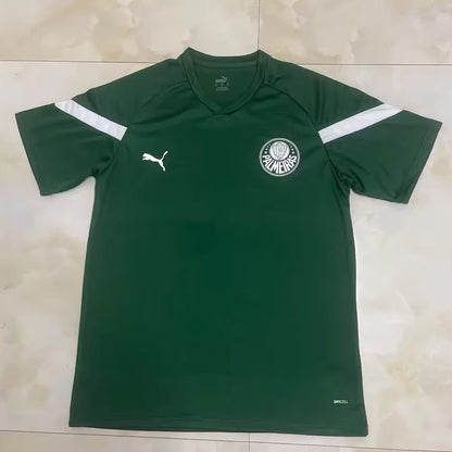 Palmeiras 2023/2024 Fan Version Tracksuit