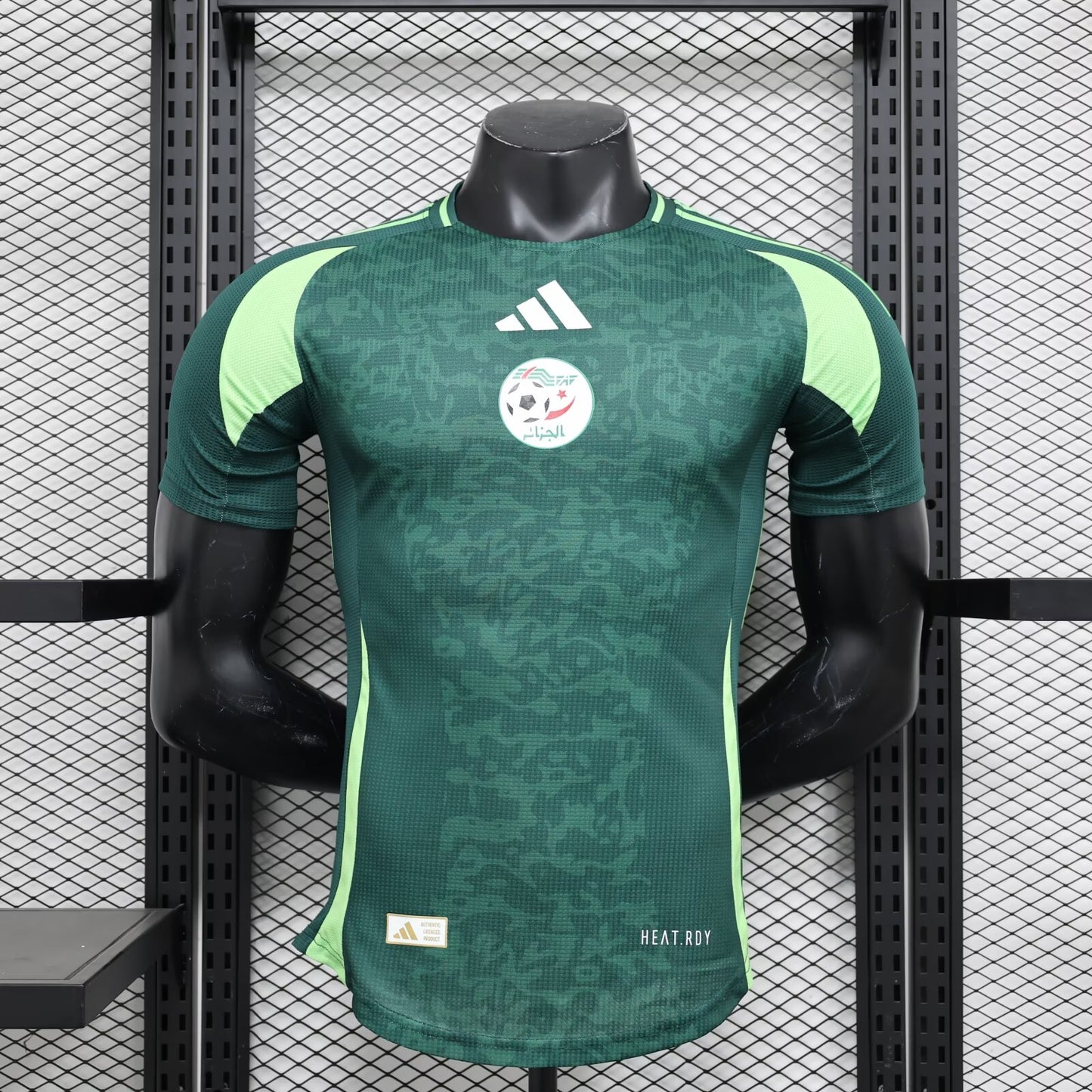 Algeria Special Edition 2024/2025 Player Version Football Jersey