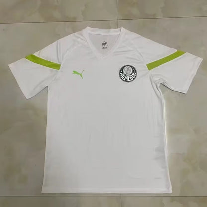Palmeiras 2023/2024 Fan Version Tracksuit